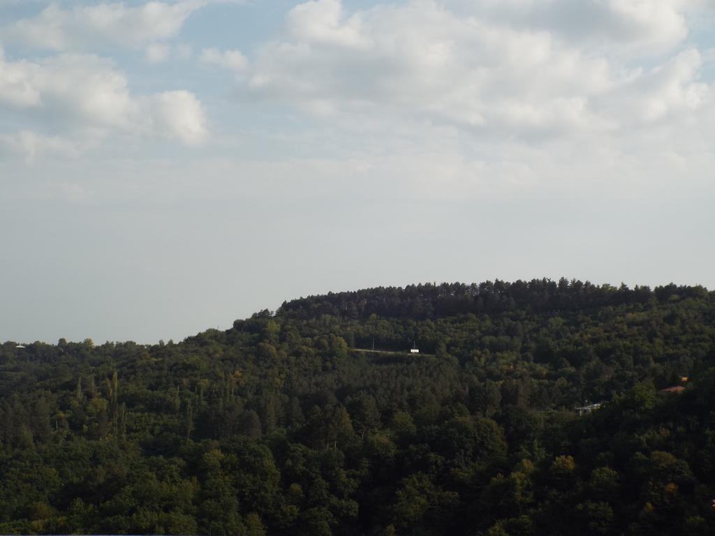 Guesthouse Fatima Szenaki Kültér fotó