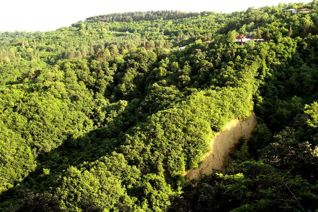 Guesthouse Fatima Szenaki Kültér fotó