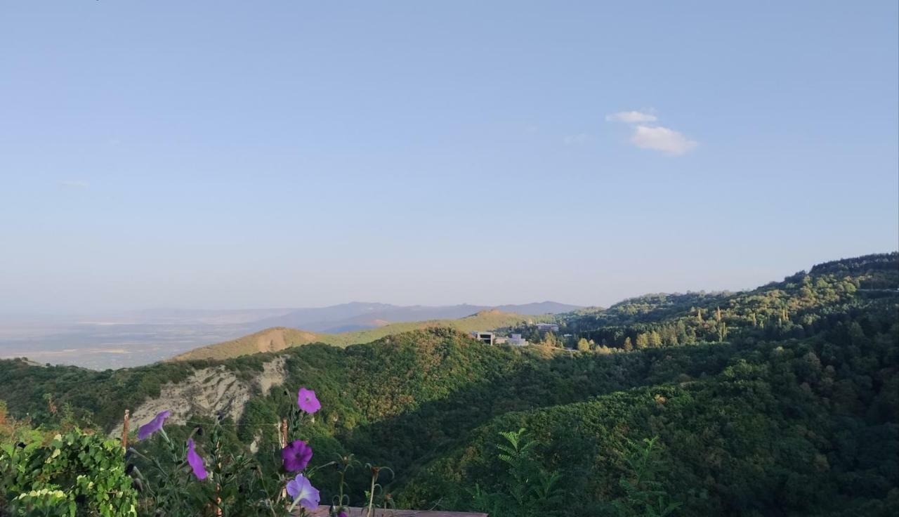 Guesthouse Fatima Szenaki Kültér fotó